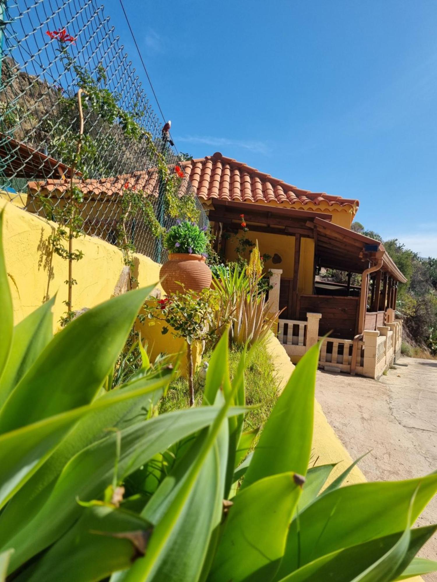 Casa Pablito * San Bartolomé