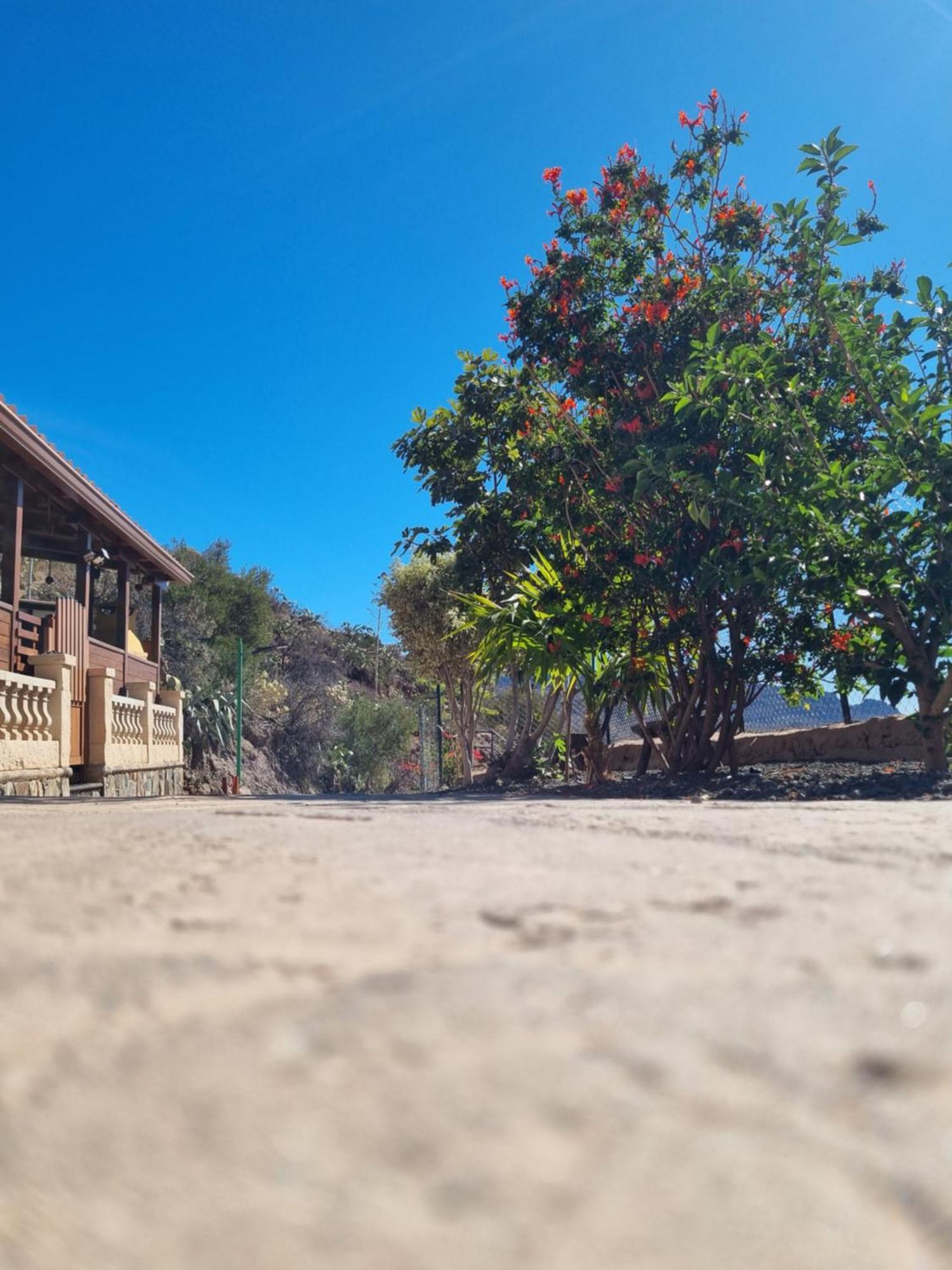 Chalet Casa Pablito San Bartolomé