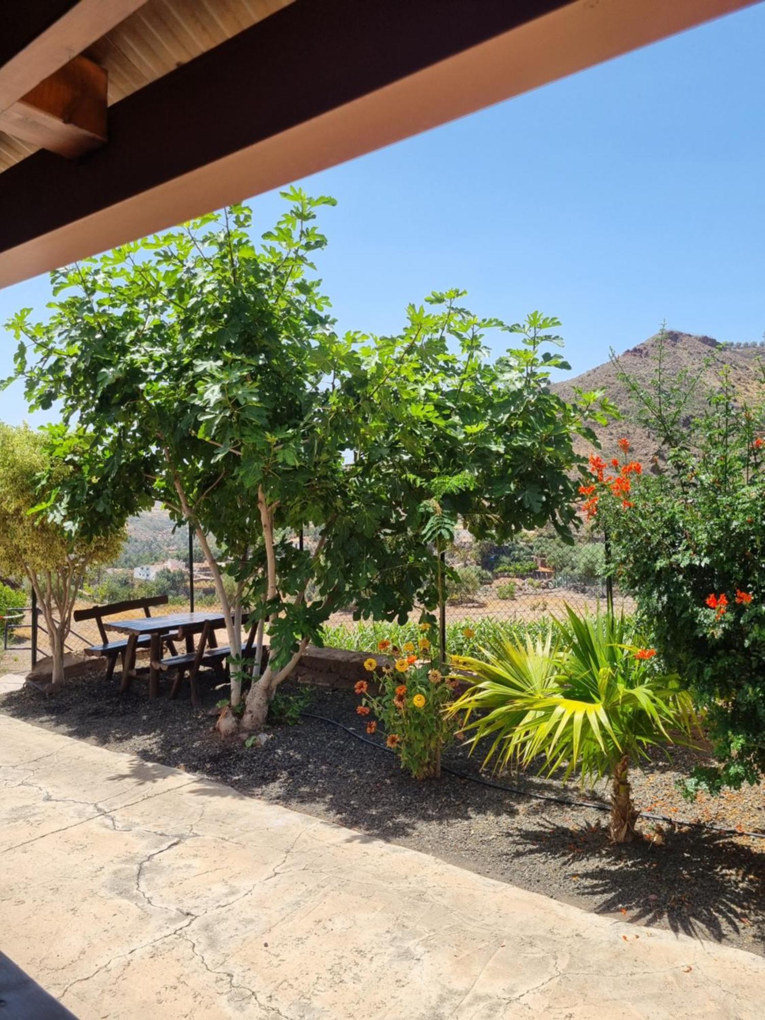 Casa Pablito Chalet *